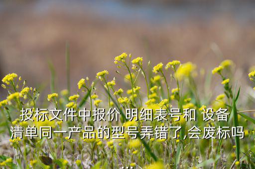 投标文件中报价 明细表号和 设备 清单同一产品的型号弄错了,会废标吗...