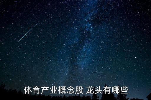 体育产业概念股 龙头有哪些