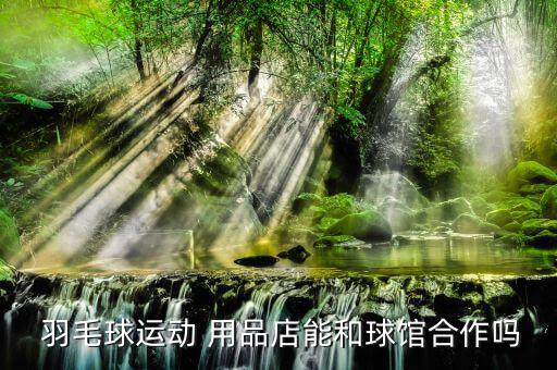  羽毛球运动 用品店能和球馆合作吗