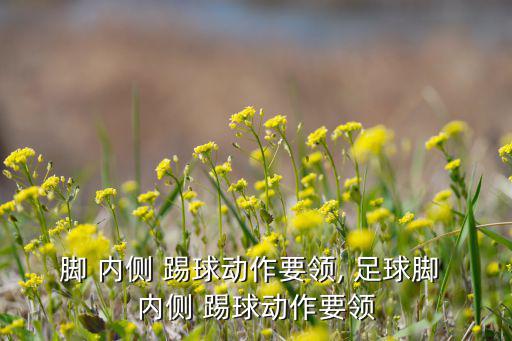 脚 内侧 踢球动作要领, 足球脚 内侧 踢球动作要领