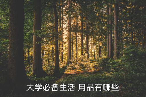 大学必备生活 用品有哪些