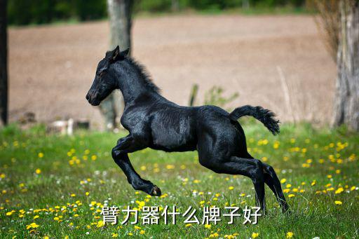 练臂力买什么体育用品好,锻炼臂力可用很多器械比如哑铃和杠铃