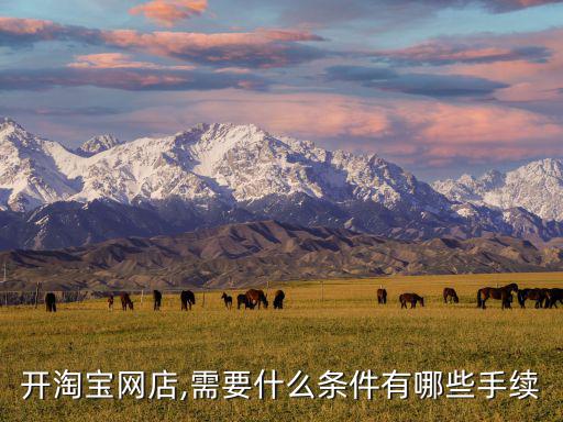卖体育用品要哪些证,如何进行实名认证?一文看懂!!