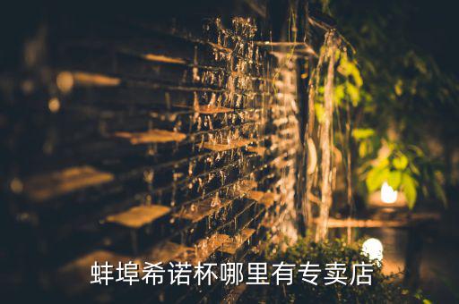蚌埠哪里有卖体育用品,从蚌埠到南石家有车可搭火车到东海大道