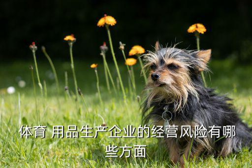 体育用品店有什么政策支持,体育用品连锁店哪些类型存在?