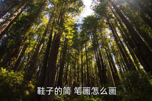 鞋子logo标志大全简笔画图片,第二集:从脚下走向未来
