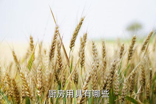  厨房用具有哪些