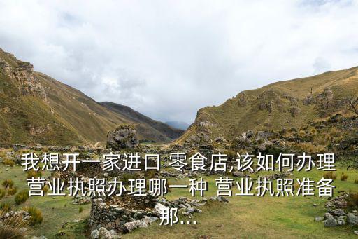 我想开一家进口 零食店,该如何办理 营业执照办理哪一种 营业执照准备那...