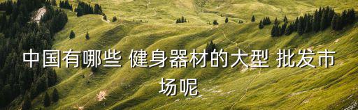 中国有哪些 健身器材的大型 批发市场呢