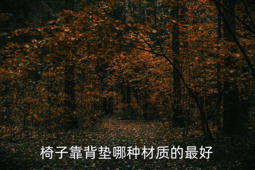椅子靠背垫哪种材质的最好