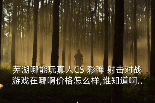 彩弹射击枪官网,开玩具枪射击游戏申请流程如何?