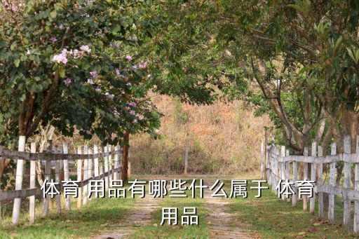  体育 用品有哪些什么属于 体育 用品