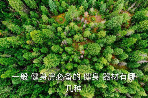 一般 健身房必备的 健身 器材有哪几种