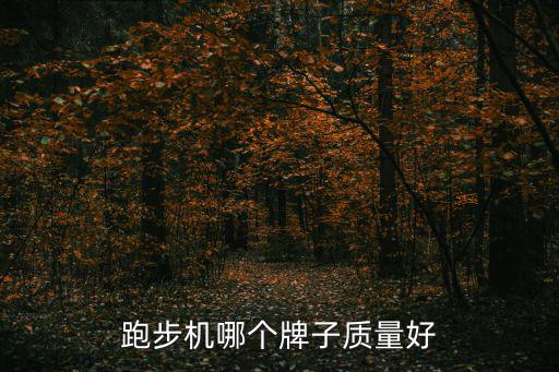 跑步机哪个牌子质量好