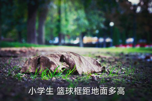  小学生 篮球框距地面多高