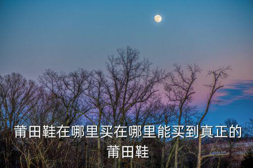  莆田鞋在哪里买在哪里能买到真正的 莆田鞋