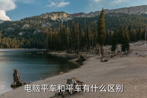 电脑平车和平车有什么区别
