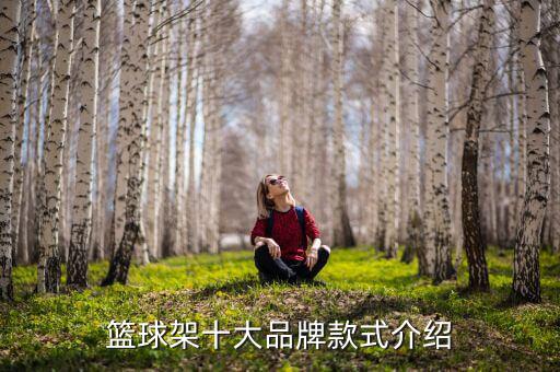 篮球架十大品牌款式介绍