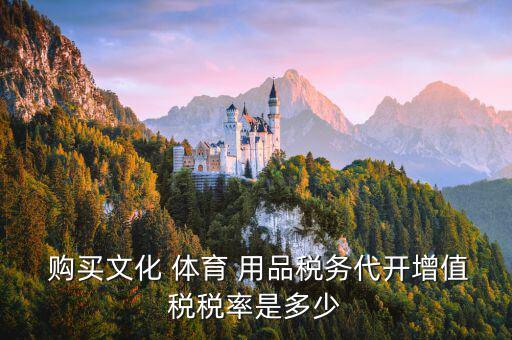 购买体育用品怎么进账