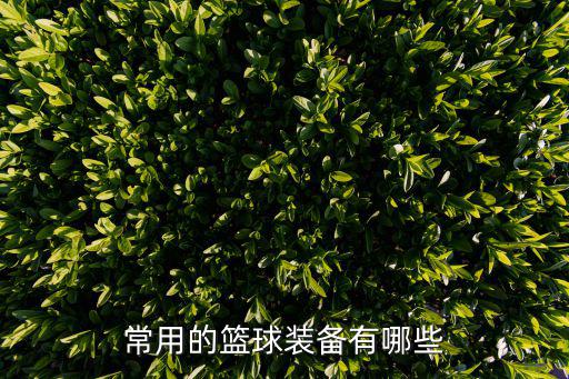 常见体育用品,红双喜体育用品官网