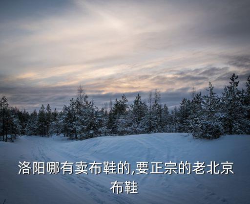  洛阳哪有卖布鞋的,要正宗的老北京布鞋