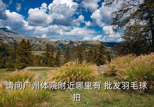 园洲哪里有体育用品批发,中国体育用品市场再现双兴批发市场
