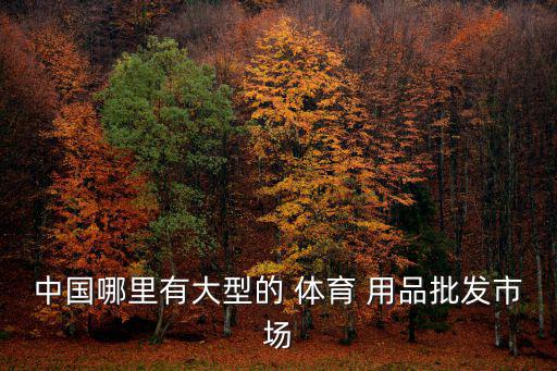 中国哪里有大型的 体育 用品批发市场