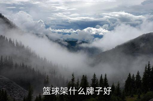  篮球架什么牌子好