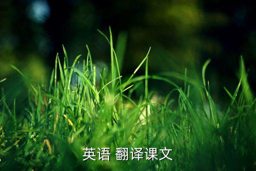 英语 翻译课文