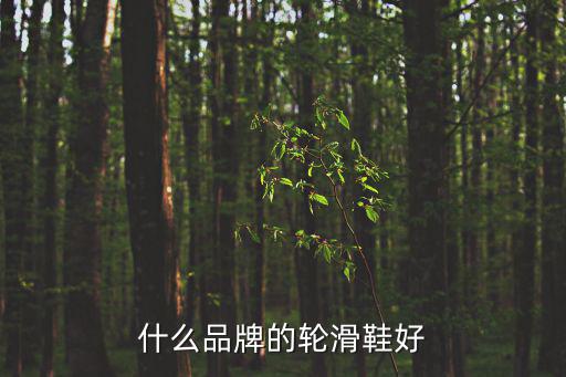 什么品牌的轮滑鞋好