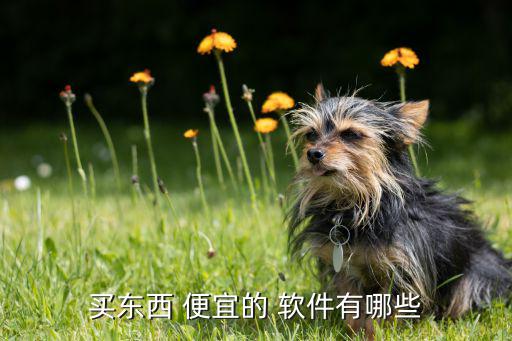 买东西 便宜的 软件有哪些