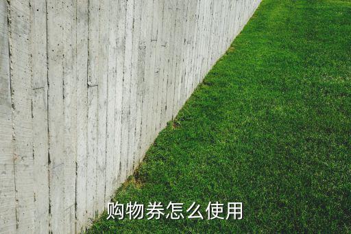 购物券怎么使用