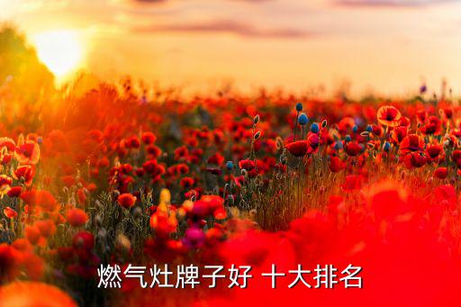 中国十大厨卫品牌最新排行榜,厨卫十大名牌排名