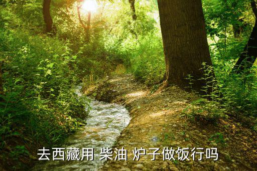 柴油户外炉子,柴油炉子不点火什么原因