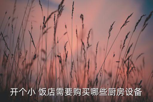 开个小 饭店需要购买哪些厨房设备