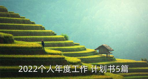 2022个人年度工作 计划书5篇