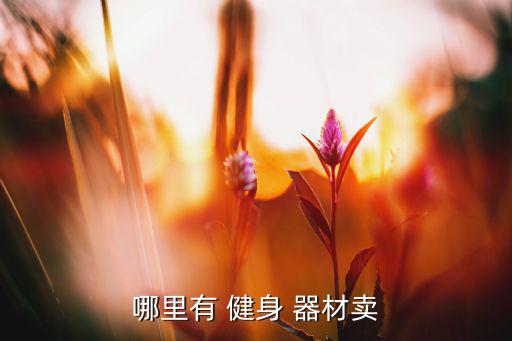 哪里有 健身 器材卖