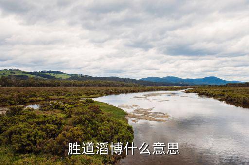 胜道滔博什么意思