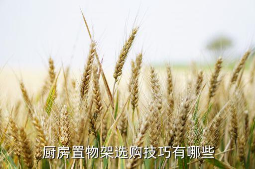  厨房置物架选购技巧有哪些