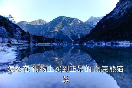 怎么在 得物上买到正品的 耐克熊猫鞋