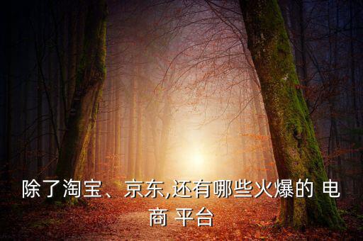 最火的跨境电商平台,海外仓一件代发平台