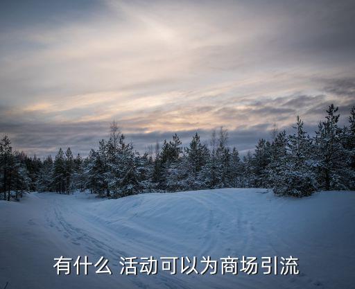 有什么 活动可以为商场引流