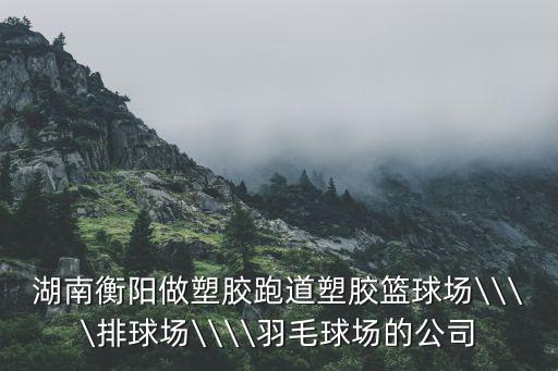 湖南衡阳做塑胶跑道塑胶篮球场\\\\排球场\\\\羽毛球场的公司