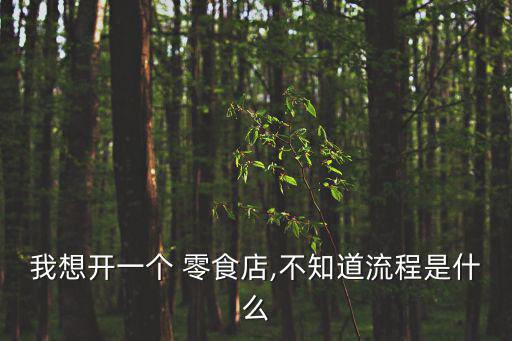 我想开一个 零食店,不知道流程是什么
