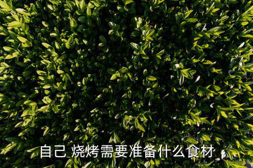 自己 烧烤需要准备什么食材