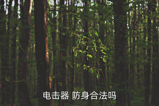 电击器 防身合法吗