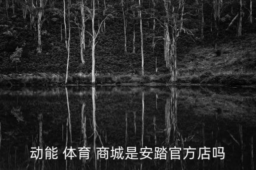 动能 体育 商城是安踏官方店吗