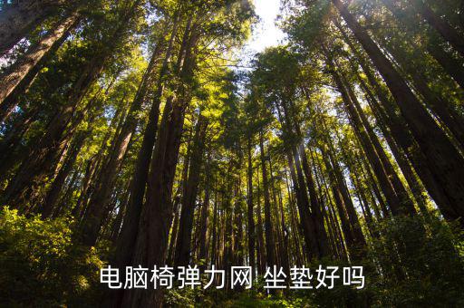 椅子坐垫图片大全价格,办公室椅子坐垫图片大全价格
