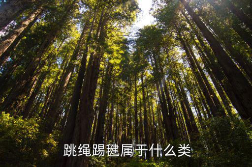 跳绳属于什么体育用品,踢毽子和跳绳运动项目一览