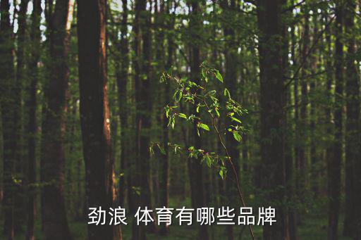  劲浪 体育有哪些品牌